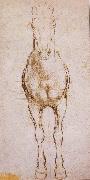 LEONARDO da Vinci Study of the proportion of horses painting